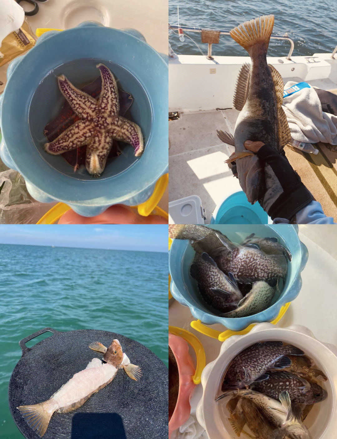 威海市海钓(威海海边垂钓) 威海市海钓(威海海边垂钓)