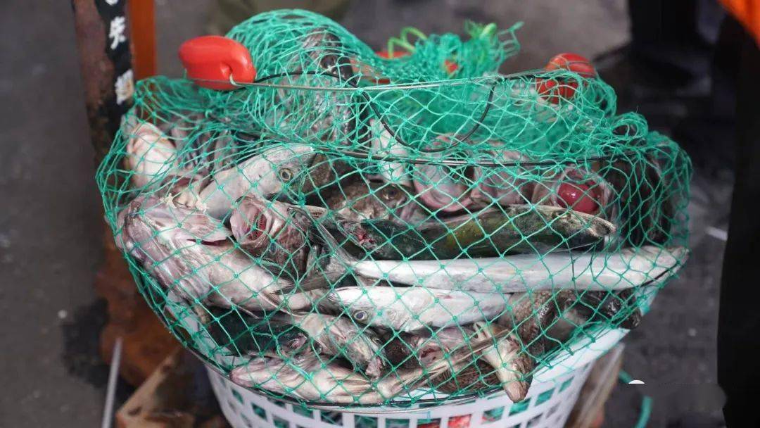 长岛春季海钓(长岛钓鱼岛退潮时间) 长岛春季海钓(长岛钓鱼岛退潮时间)