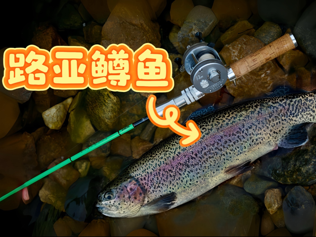 路亚沙鱼(路亚是锚鱼还是钓鱼) 路亚沙鱼(路亚是锚鱼还是钓鱼)