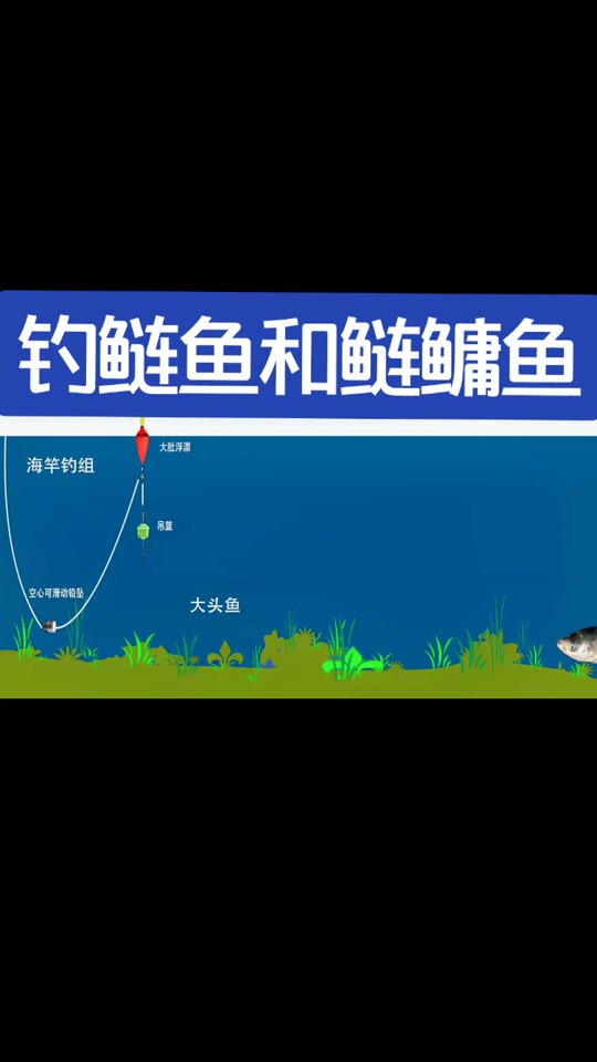夏天抛竿钓白鲢技巧(抛竿夏天钓鲢鳙钓多深最好) 夏天抛竿钓白鲢技巧(抛竿夏天钓鲢鳙钓多深最好)
