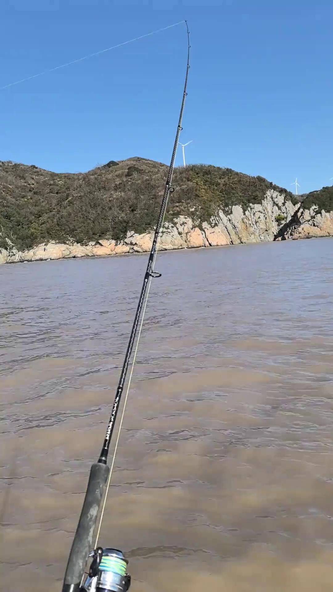 海钓鱼图片大全图(海钓 图片)