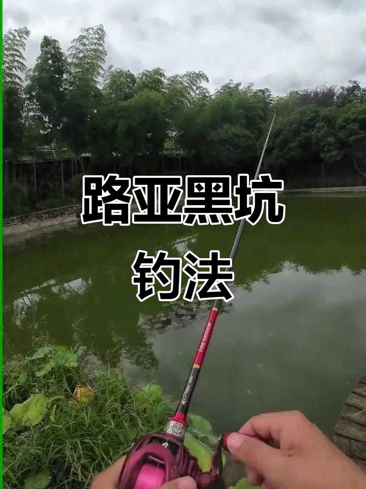 龙游路亚黑坑(龙游附近野钓地方) 龙游路亚黑坑(龙游附近野钓地方)