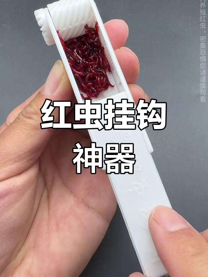 渔具店红虫哪里买(红虫饵料哪里有卖) 渔具店红虫哪里买(红虫饵料哪里有卖)