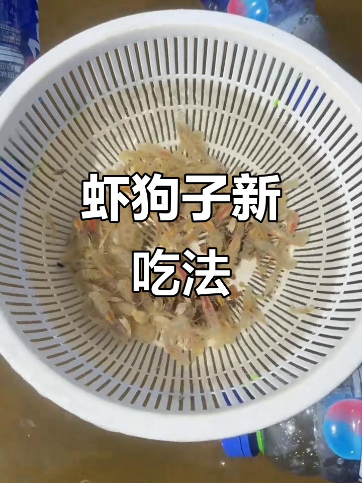 海钓虾的视频教程(海钓虾饵制作方法) 海钓虾的视频教程(海钓虾饵制作方法)