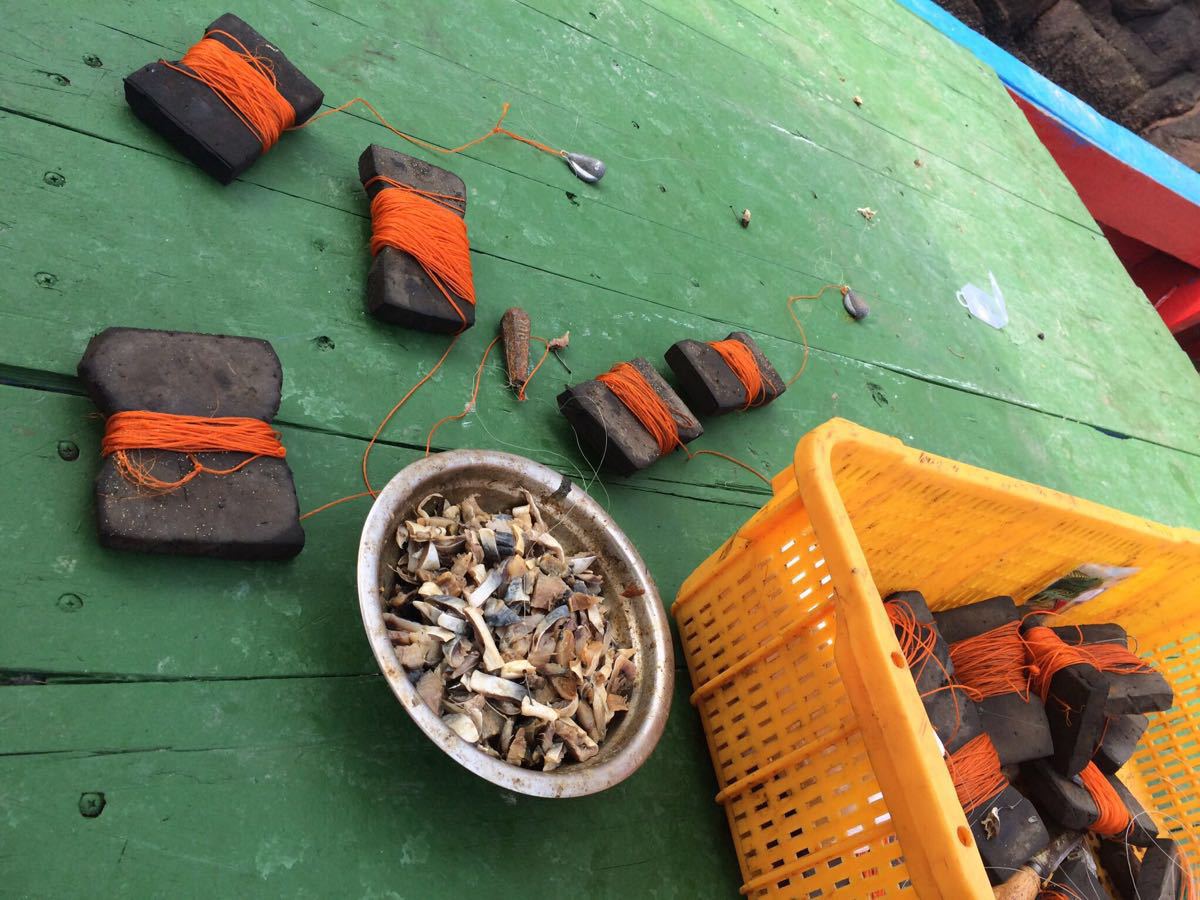 枸杞岛包船海钓价格(枸杞岛的船) 枸杞岛包船海钓价格(枸杞岛的船)