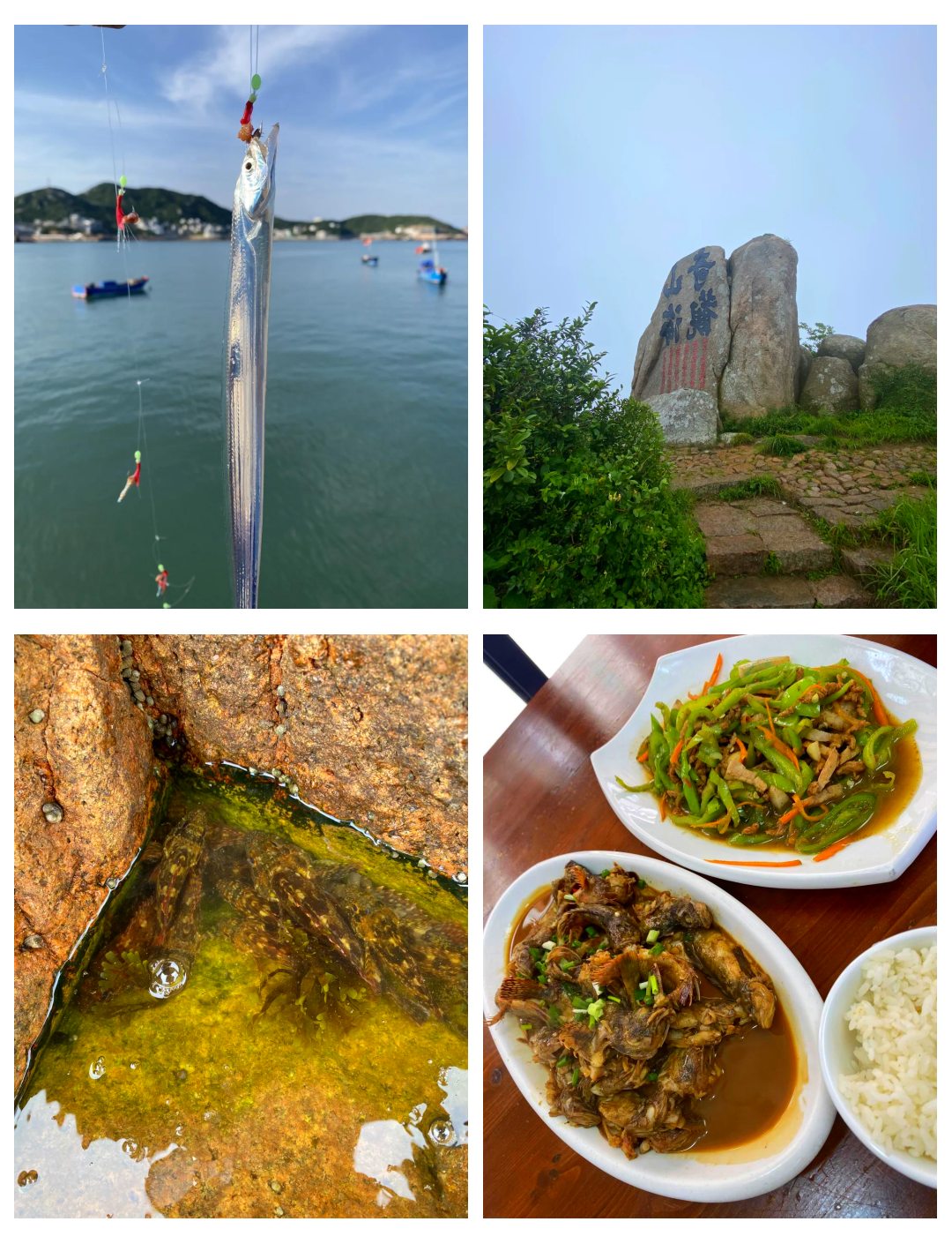 枸杞岛包船海钓价格(枸杞岛的船) 枸杞岛包船海钓价格(枸杞岛的船)