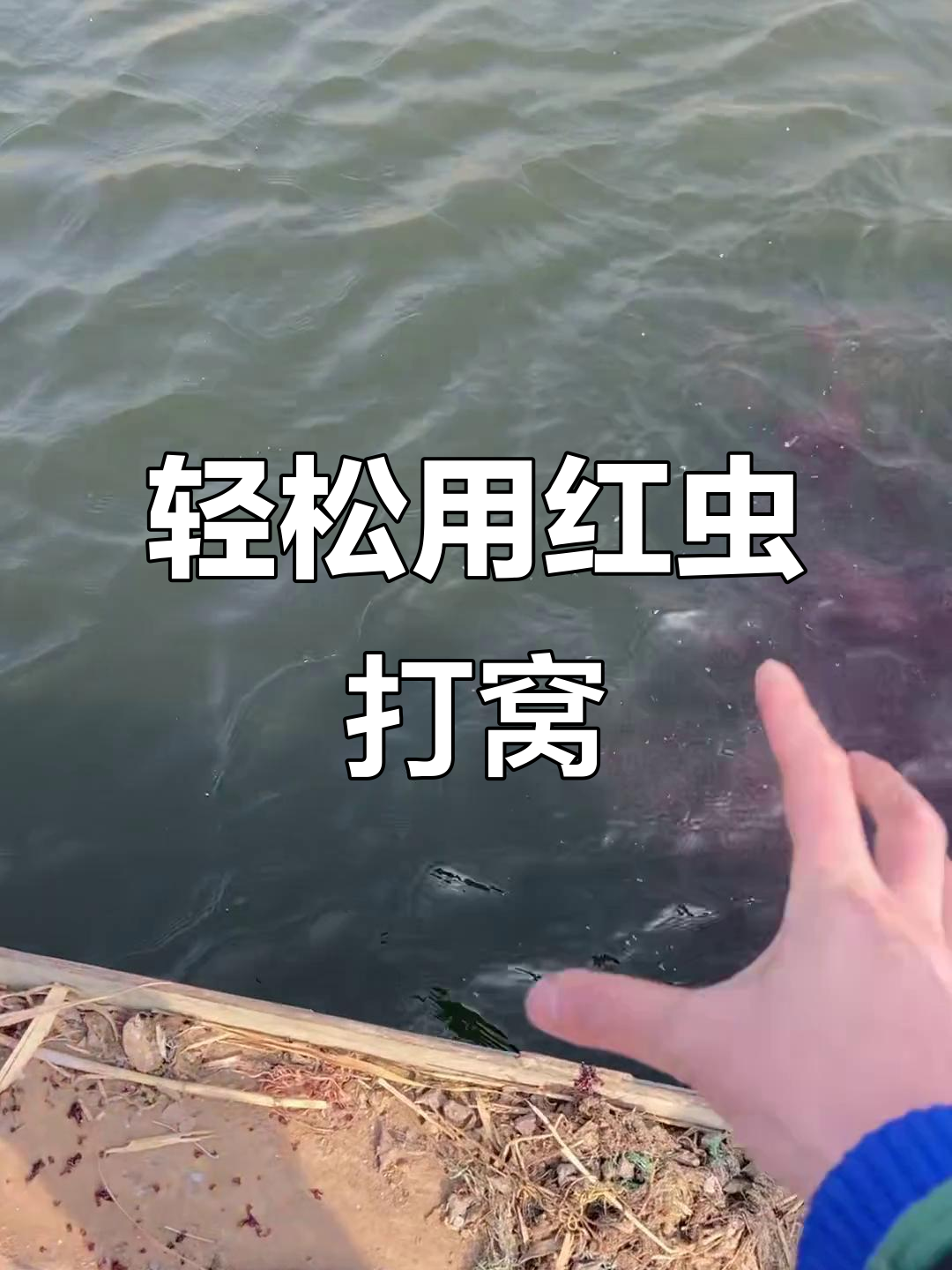 红虫技巧(红虫怎么使用钓鱼) 红虫技巧(红虫怎么使用钓鱼)