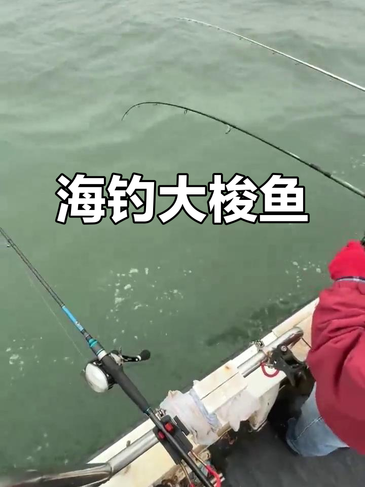 四海钓鱼频海钓(四海钓鱼频道钓赛进行时)