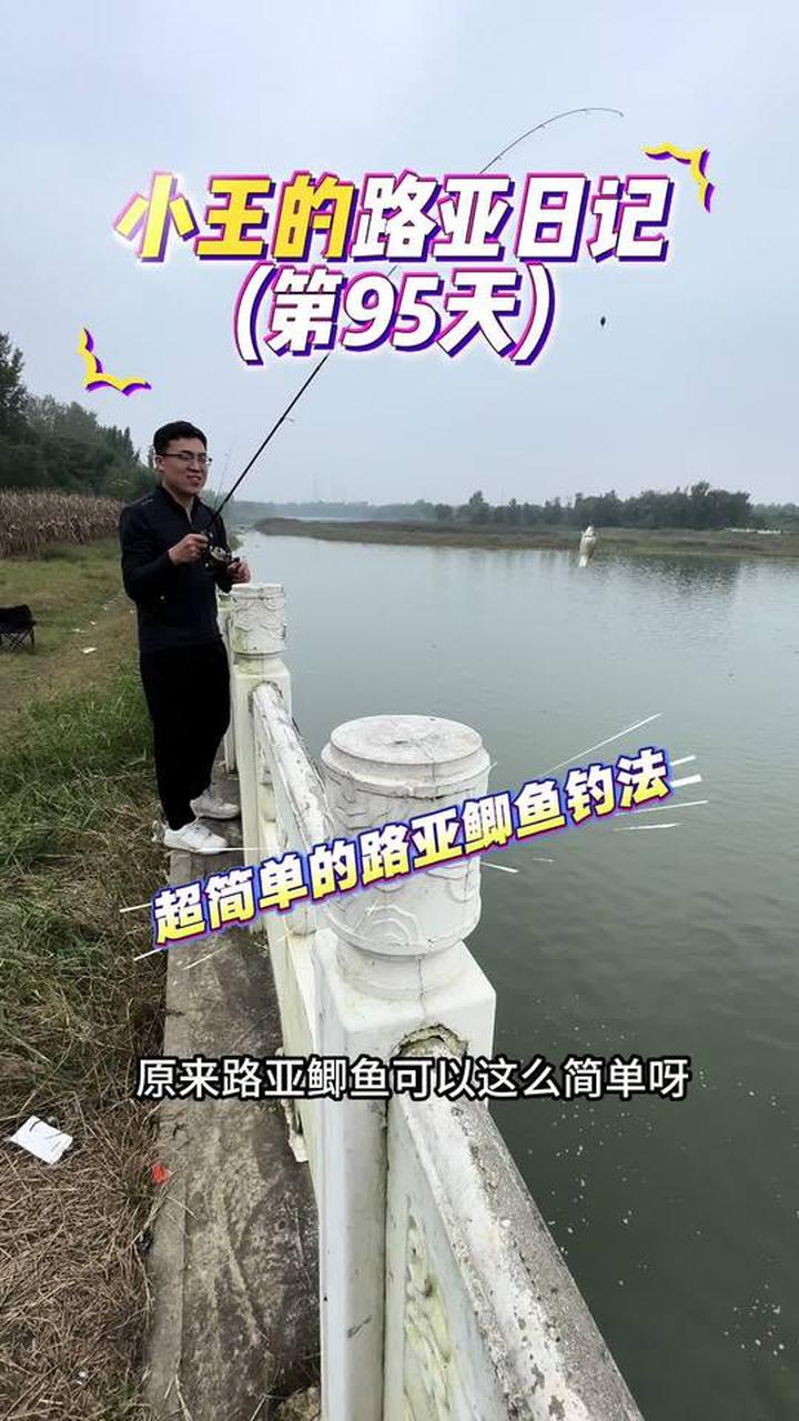 路亚路鲫鱼(路亚鲫鱼视频)