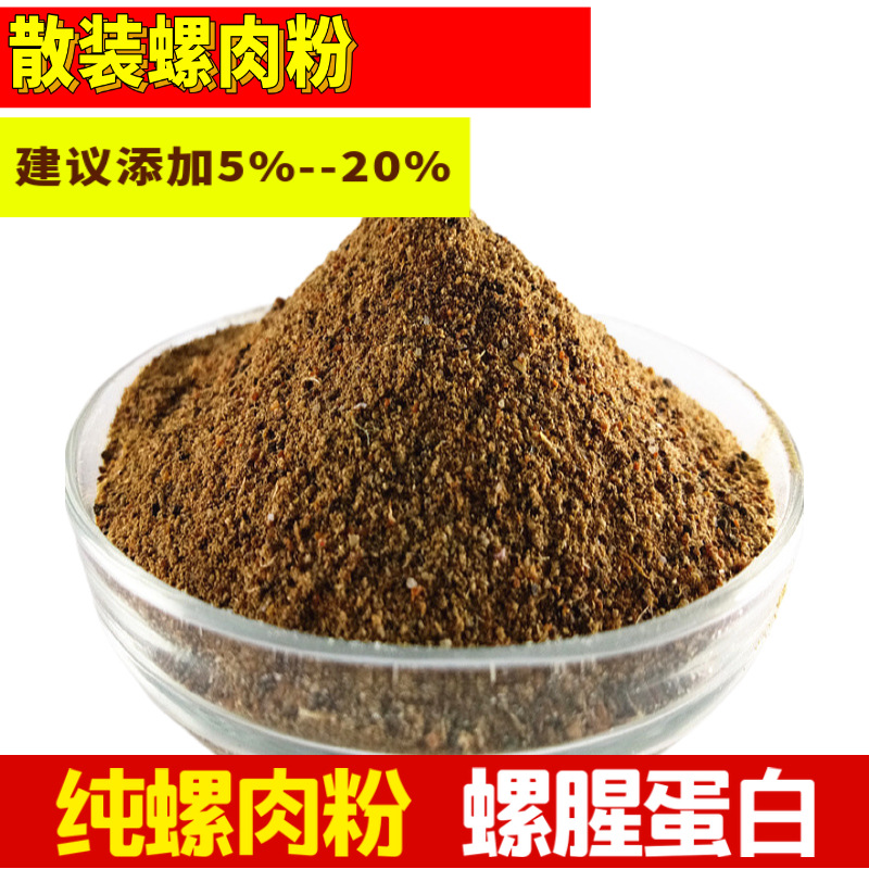 螺肉饵料哪个好(螺肉饵料钓什么鱼) 螺肉饵料哪个好(螺肉饵料钓什么鱼)