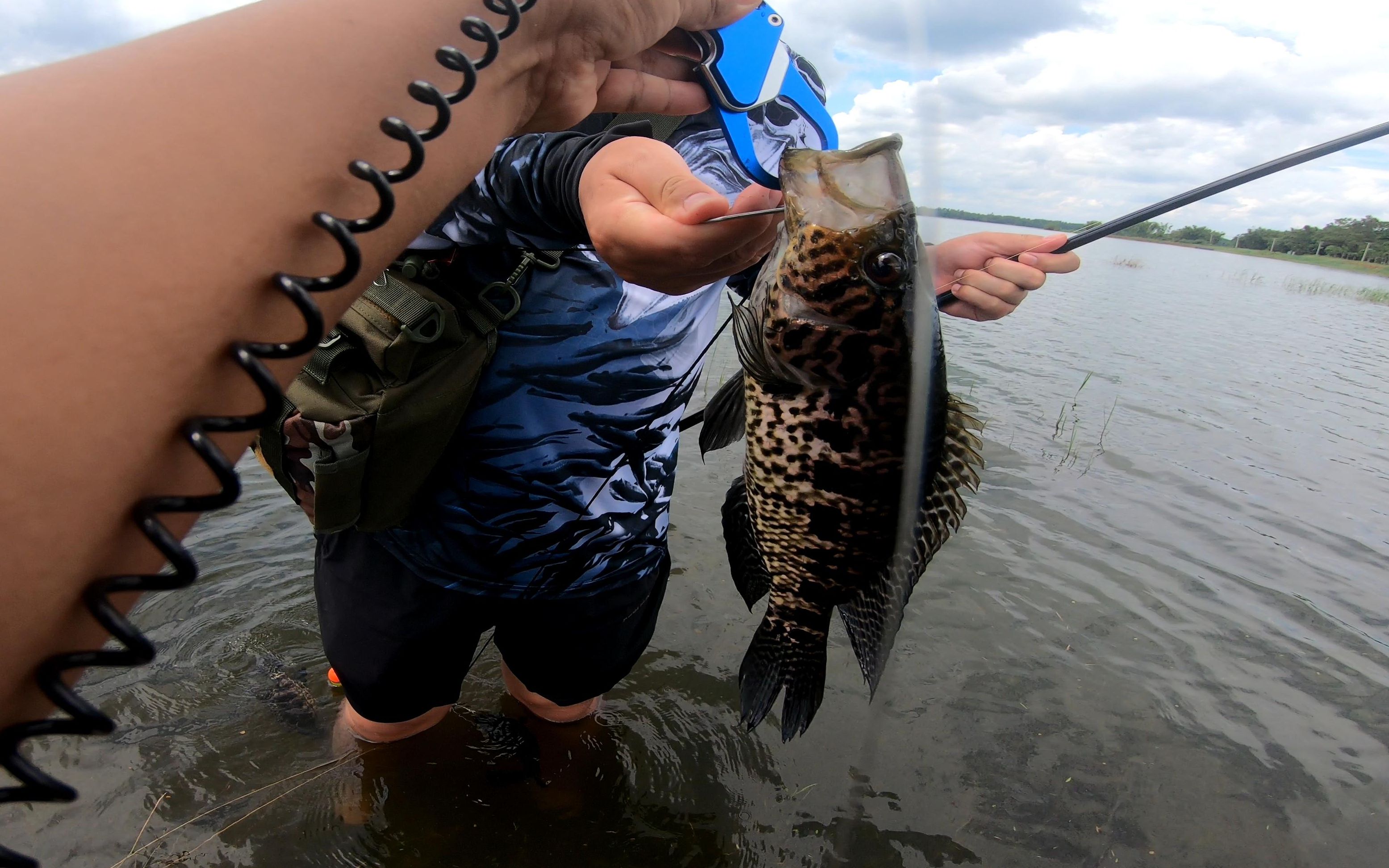 路亚打石斑(路亚钓石斑鱼) 路亚打石斑(路亚钓石斑鱼)