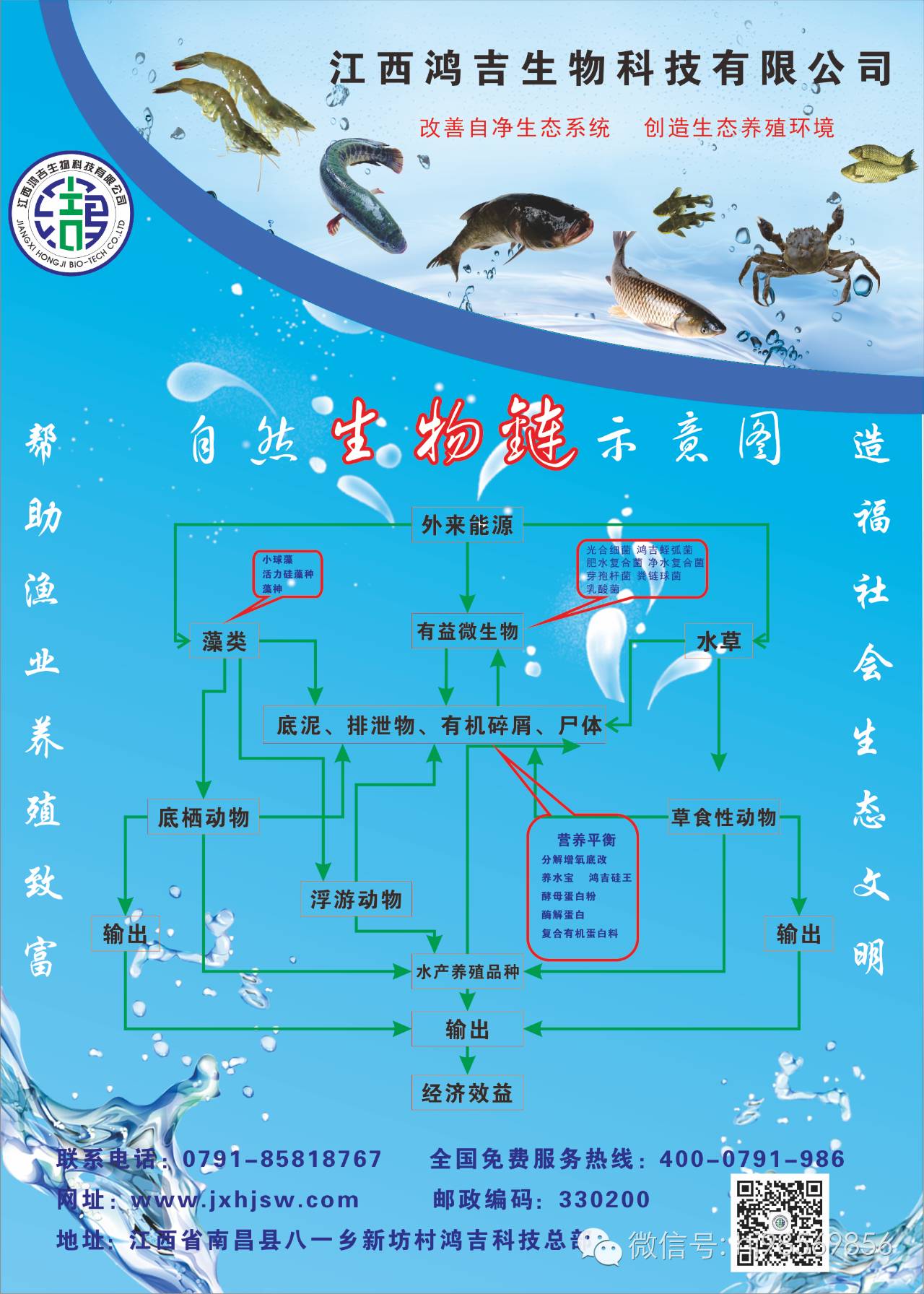 肥水养殖塘钓鱼技巧(肥水鱼塘怎么钓鱼) 肥水养殖塘钓鱼技巧(肥水鱼塘怎么钓鱼)