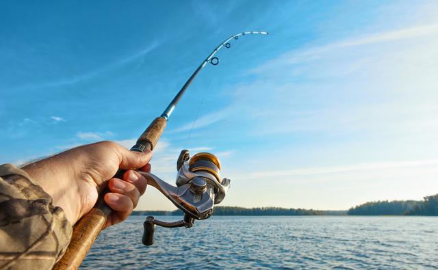 手竿钓黑头技巧(如何钓黑头) 手竿钓黑头技巧(如何钓黑头)