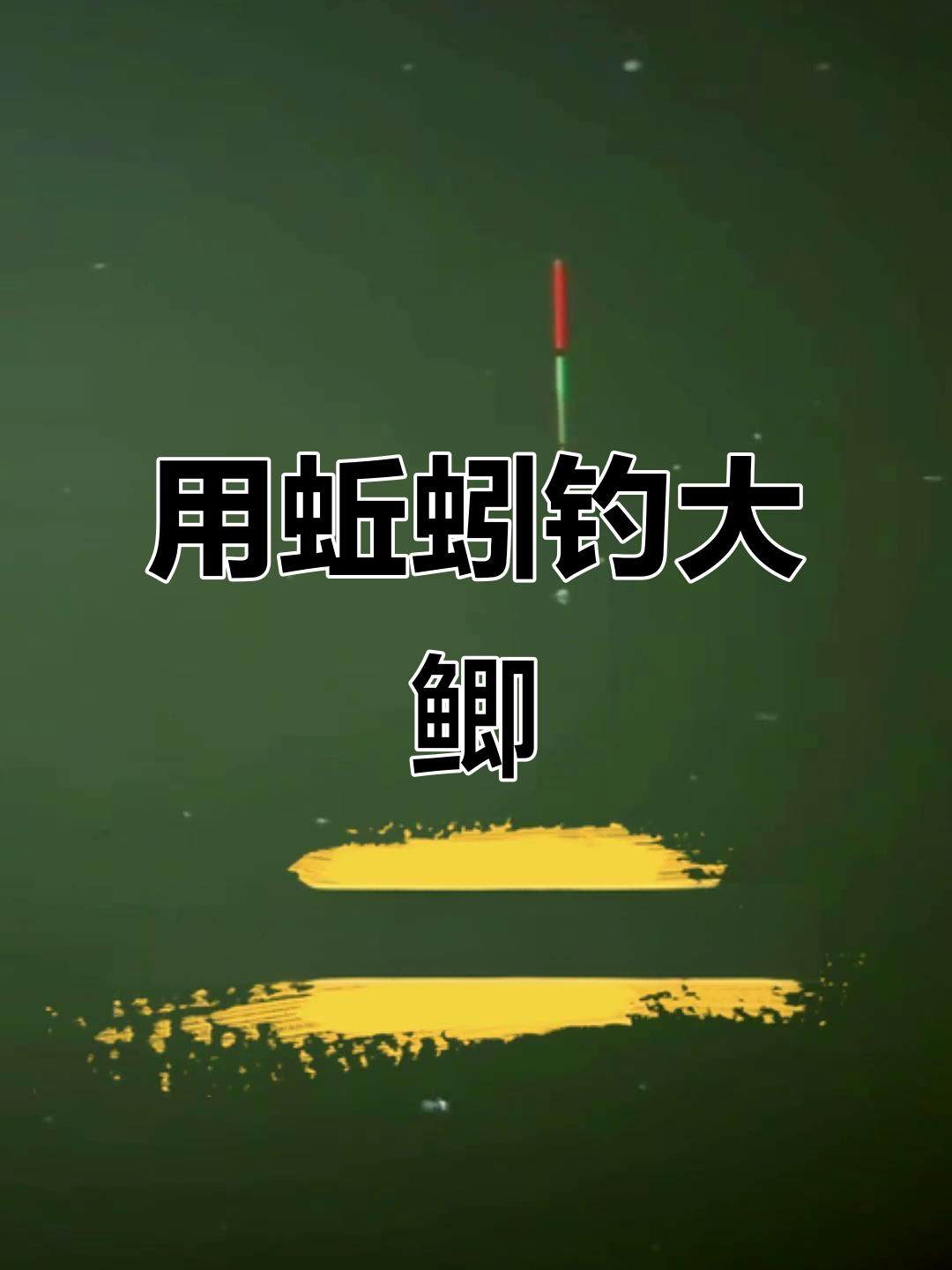 蚯蚓钓鱼料技巧(蚯蚓钓饵) 蚯蚓钓鱼料技巧(蚯蚓钓饵)