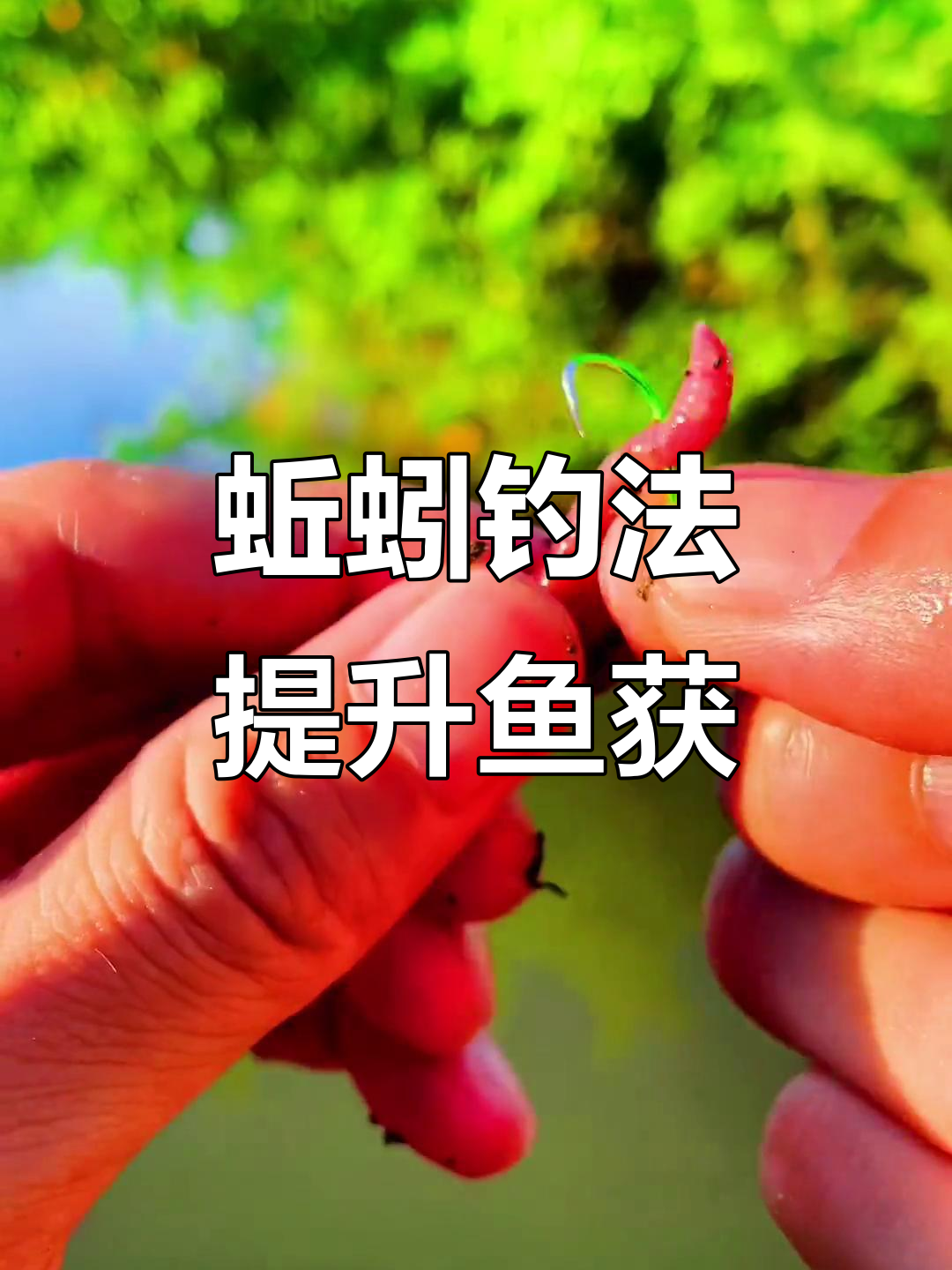 蚯蚓钓鱼料技巧(蚯蚓钓饵) 蚯蚓钓鱼料技巧(蚯蚓钓饵)