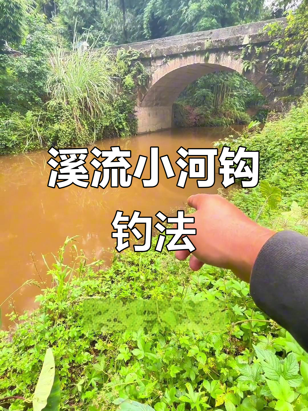 江河野钓技巧(江河钓鱼视频野钓实战)