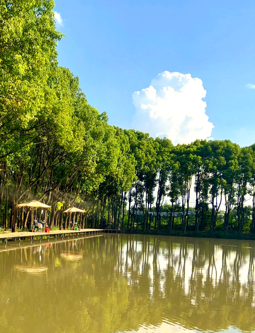 坦洲路亚地点(新手十大建议买的路亚) 坦洲路亚地点(新手十大建议买的路亚)