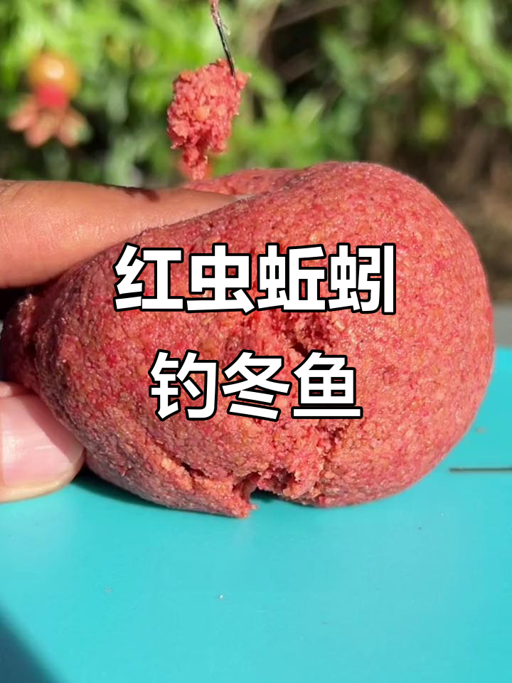 红虫饵料配方冬季(红虫冬季钓好用吗) 红虫饵料配方冬季(红虫冬季钓好用吗)