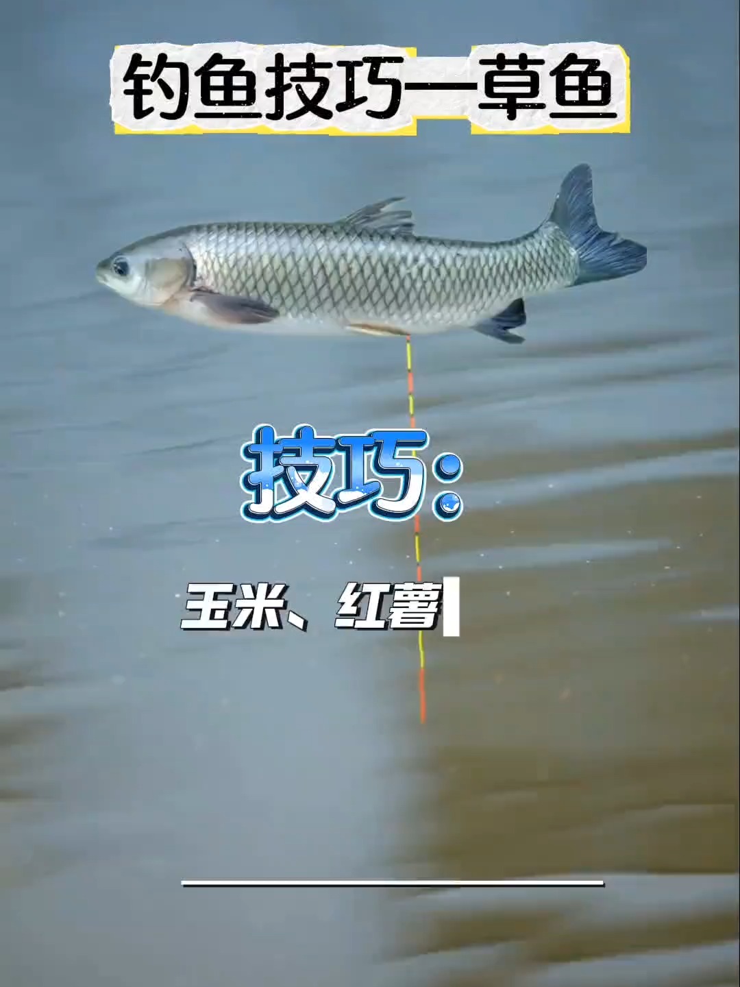 钓草鱼方法与技巧大全(钓草鱼教程)