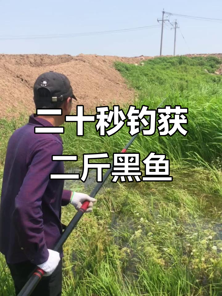 钓黑鱼扬杆技巧(钓黑鱼手杆)