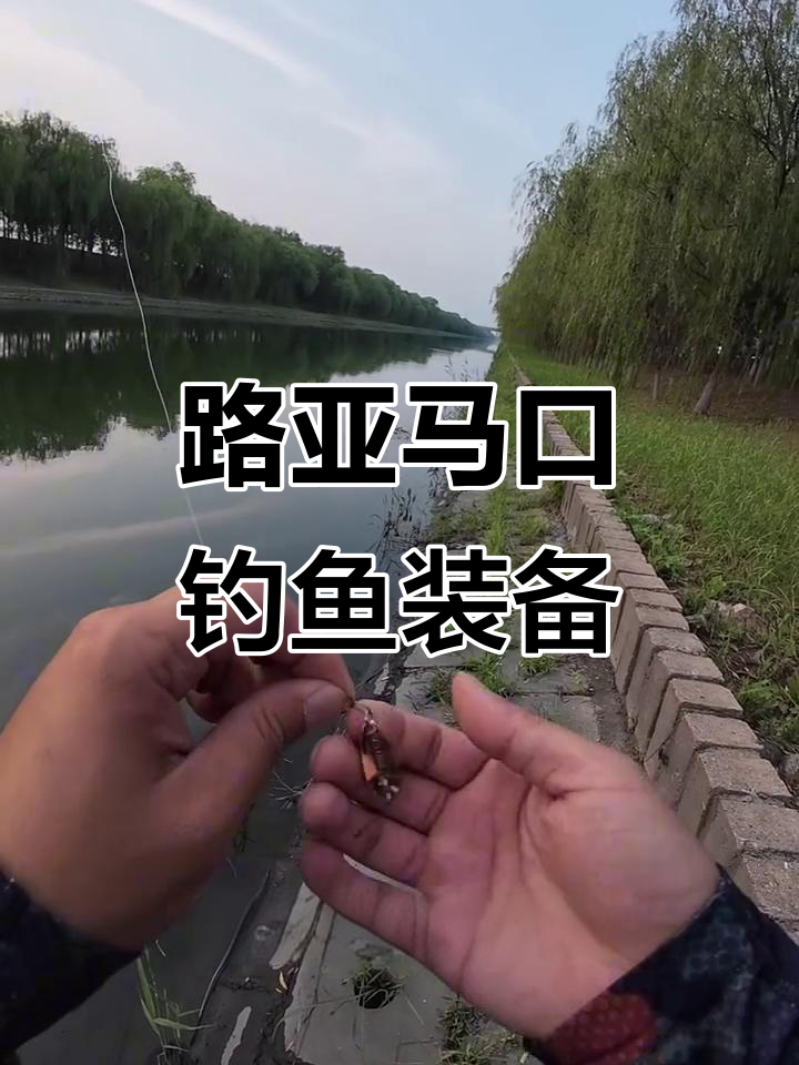 马口竿技巧(马口竿钓组)