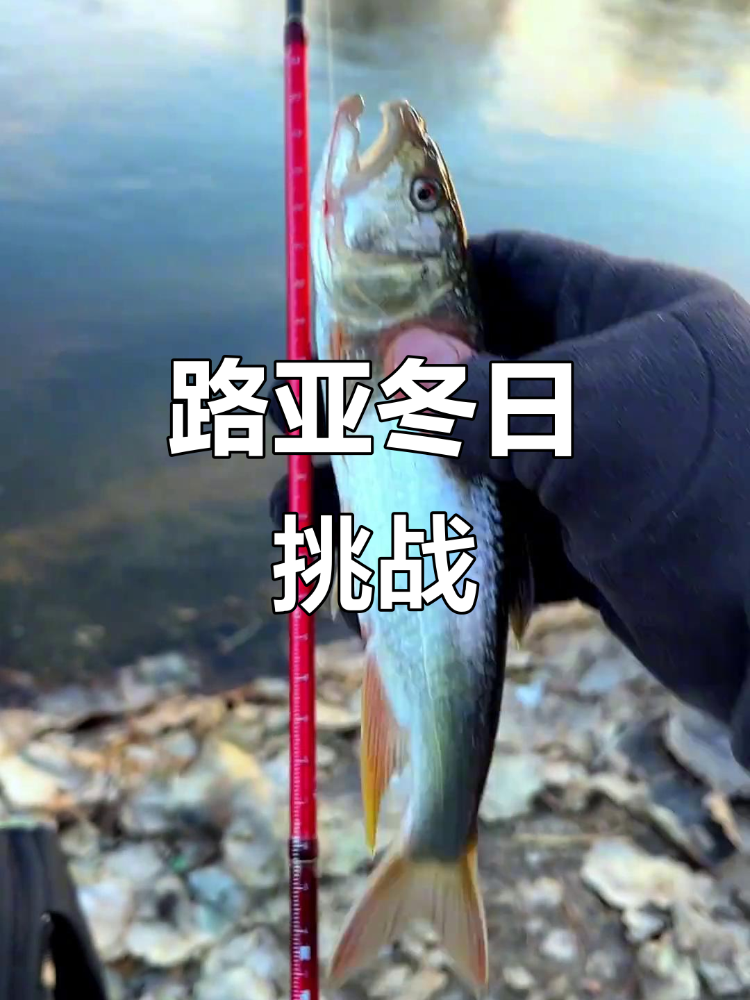 冬季长沙路亚(长沙路亚标点图)