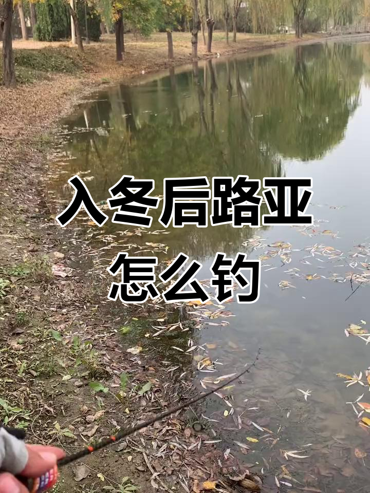 冬季长沙路亚(长沙路亚标点图)