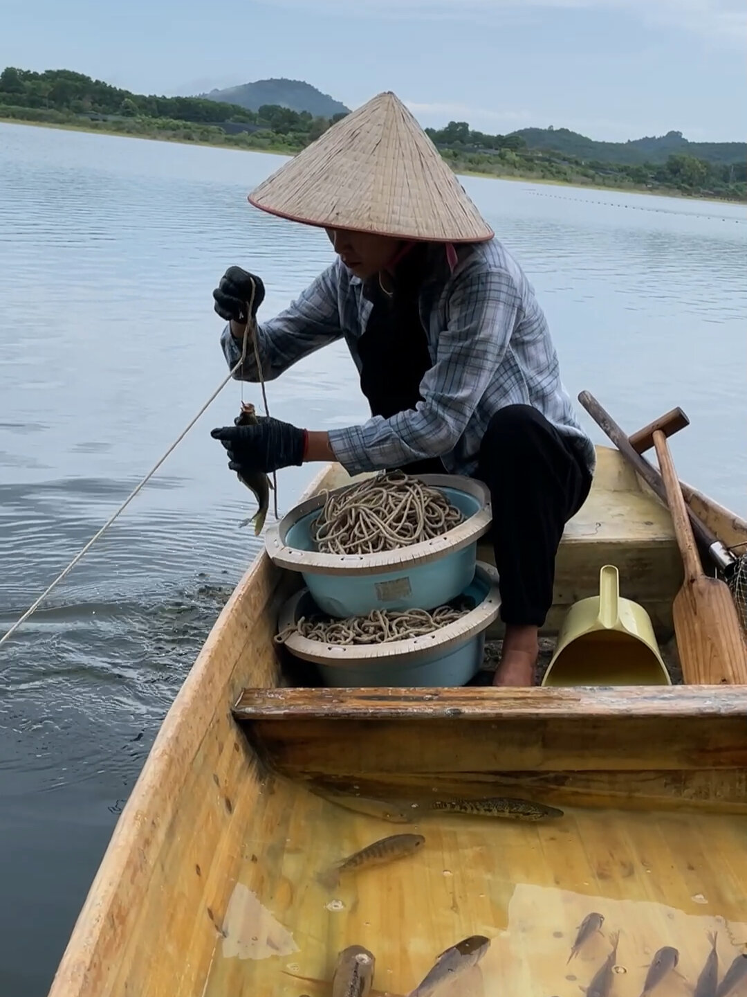 排钩江钓技巧(排钩钓鱼图片大全)