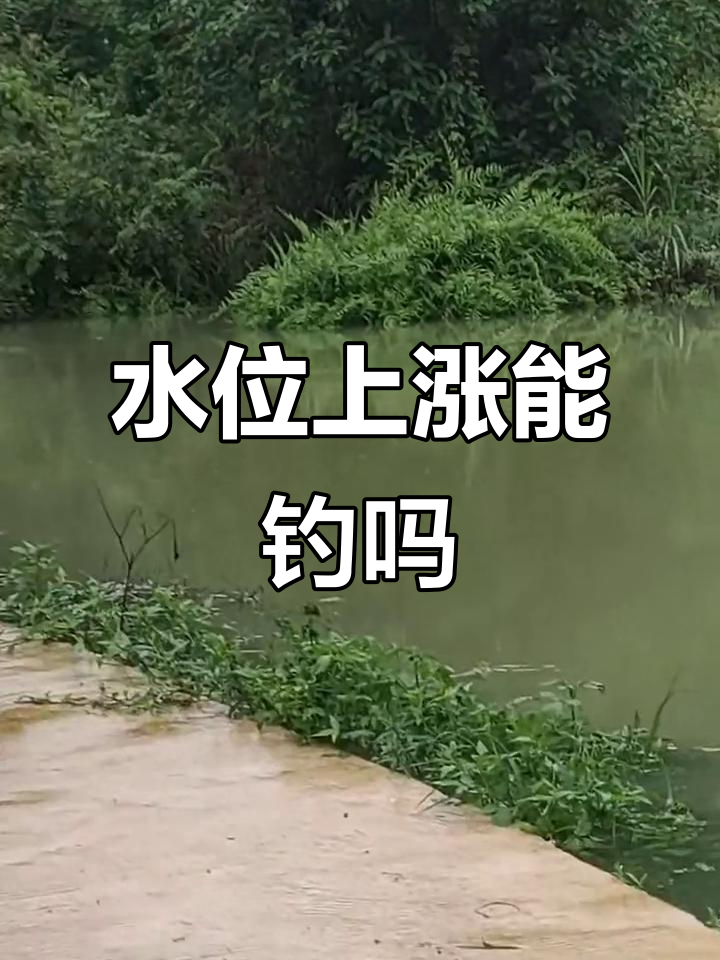 冬天涨水钓鱼技巧(冬季涨水钓鲫鱼) 冬天涨水钓鱼技巧(冬季涨水钓鲫鱼)