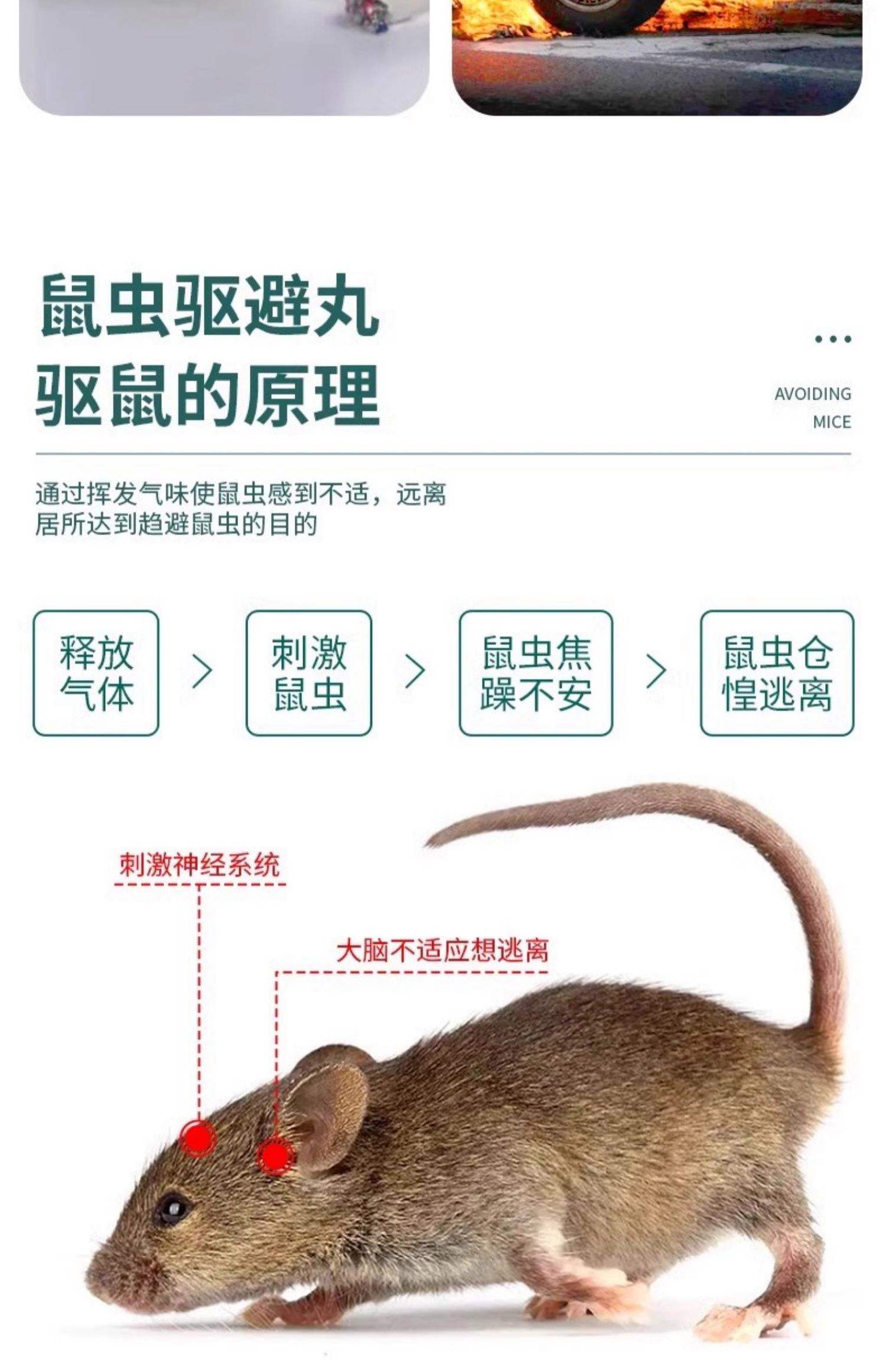 诱鼠饵料配方(非常好的诱鼠剂) 诱鼠饵料配方(非常好的诱鼠剂)