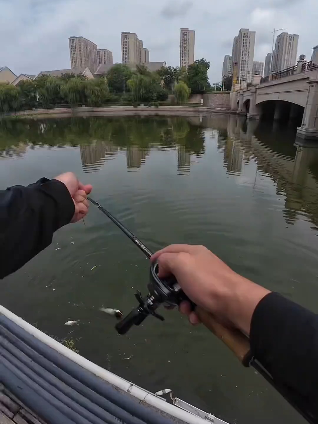 路亚鲶鱼装备(路亚鲶鱼教学) 路亚鲶鱼装备(路亚鲶鱼教学)
