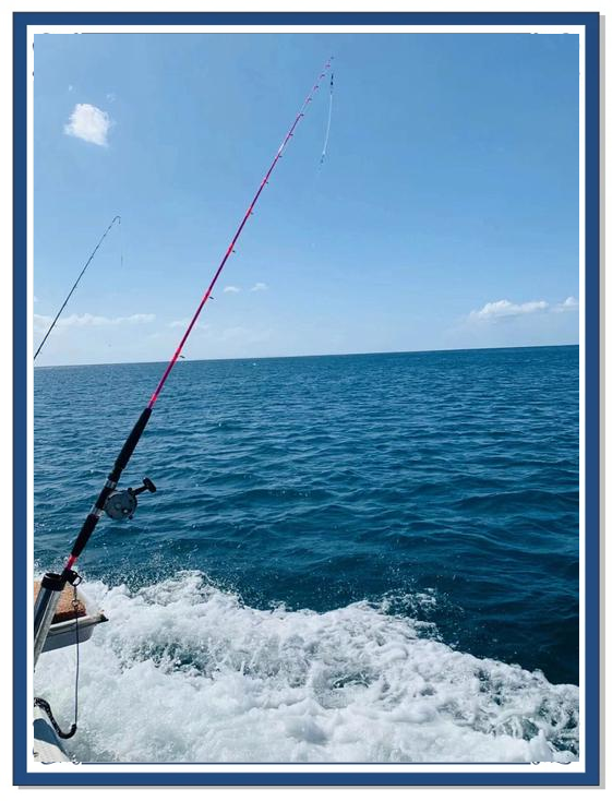 青岛海钓能钓到什么(青岛海钓鱼) 青岛海钓能钓到什么(青岛海钓鱼)