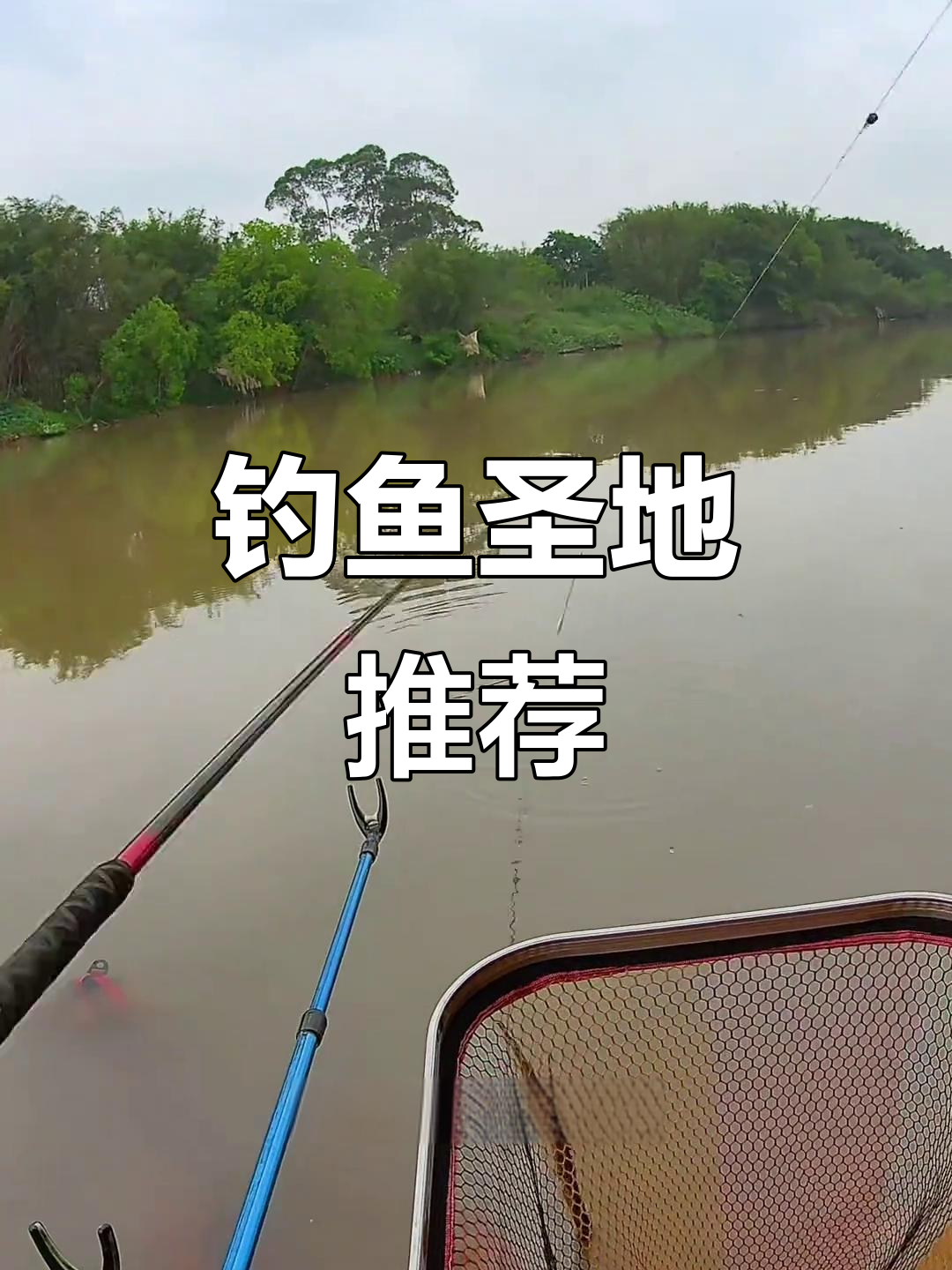 河里钓石鲮鱼技巧(钓石鲮方法) 河里钓石鲮鱼技巧(钓石鲮方法)