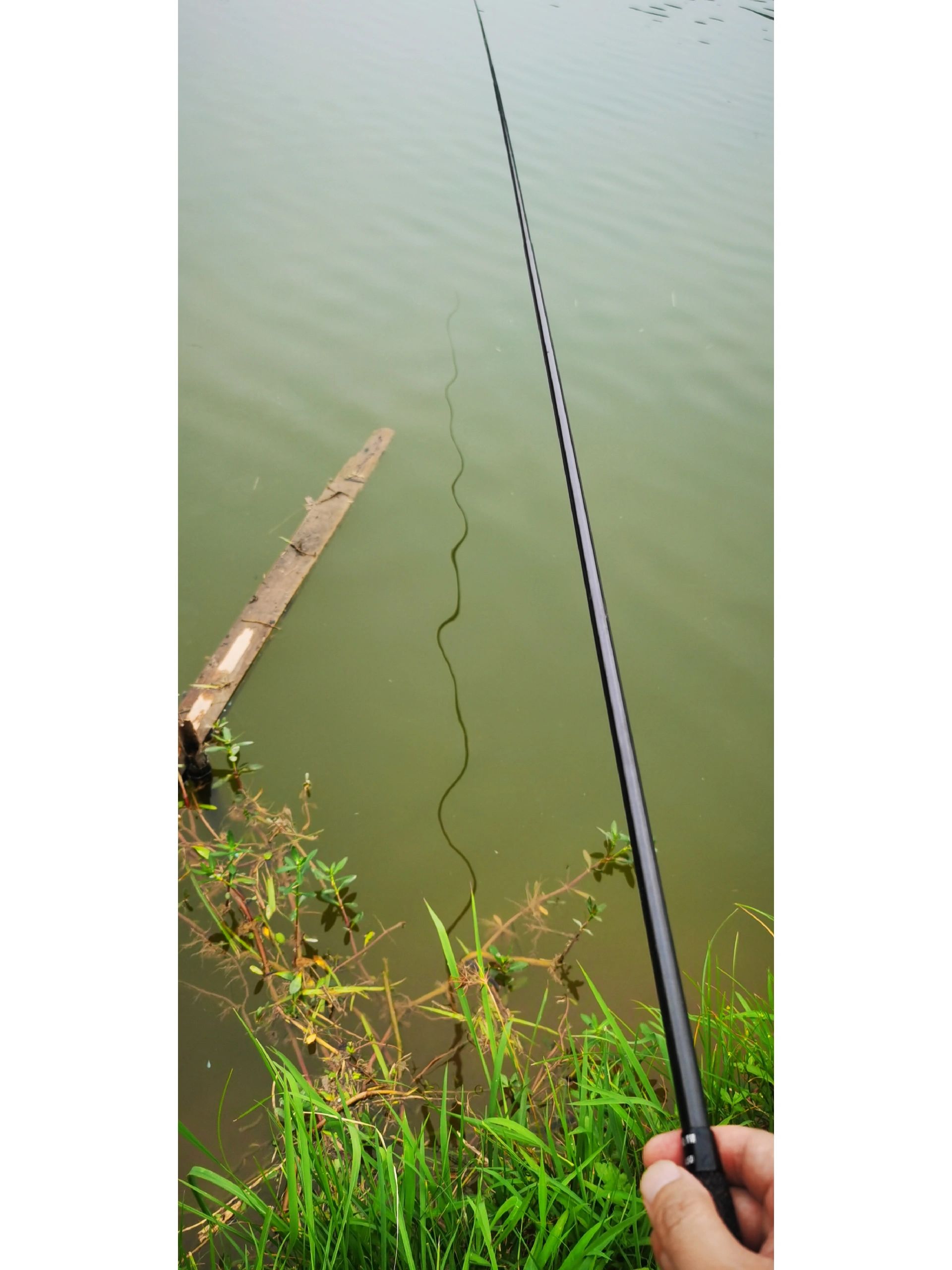 手竿钓鱼的技巧视频高清(手竿钓鱼的技巧视频高清版) 手竿钓鱼的技巧视频高清(手竿钓鱼的技巧视频高清版)