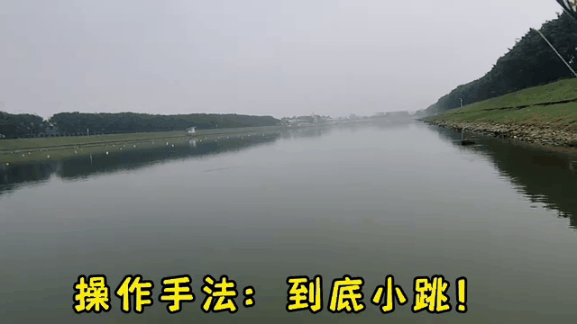 路亚红油(路亚红油鱼技巧) 路亚红油(路亚红油鱼技巧)