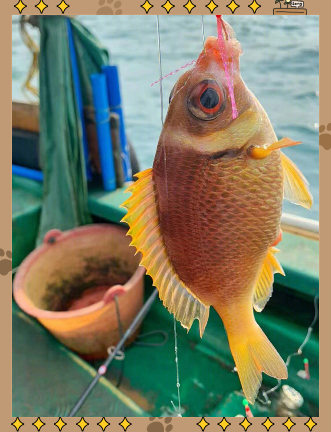 在深圳海钓被抓(深圳一男子在海边钓鱼) 在深圳海钓被抓(深圳一男子在海边钓鱼)