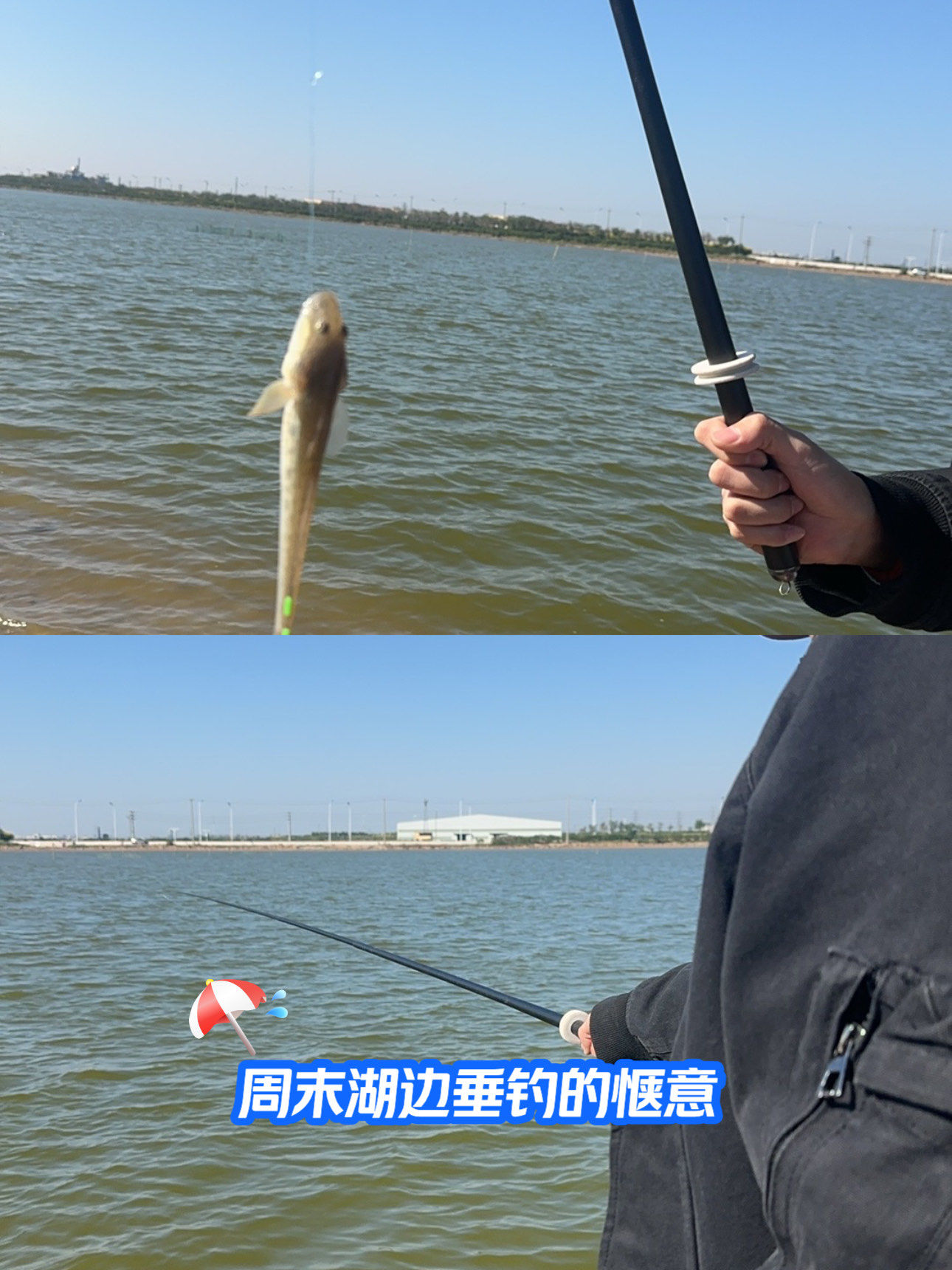怎么海钓视频(海钓视频教程) 怎么海钓视频(海钓视频教程)
