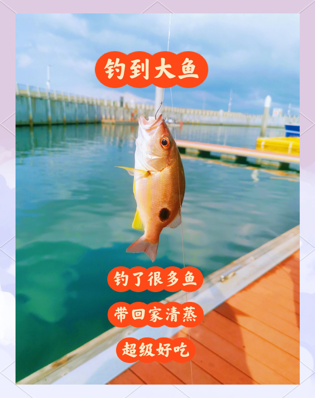 深圳海钓哪里去(深圳海钓鱼点) 深圳海钓哪里去(深圳海钓鱼点)