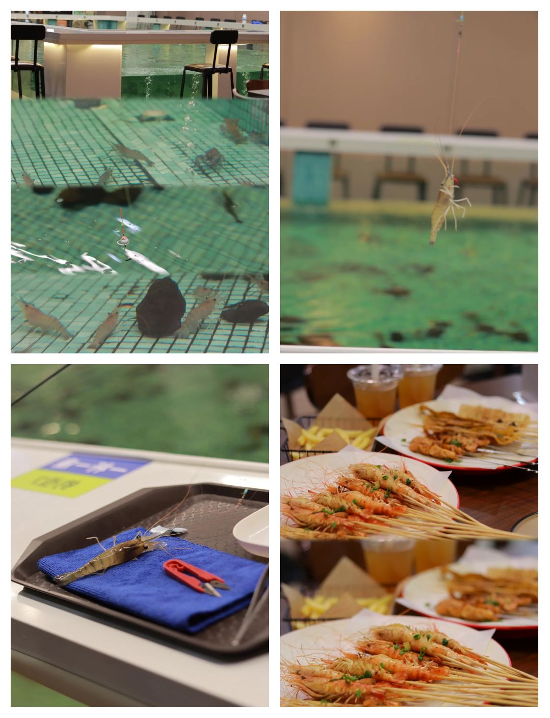 室内钓虾小技巧(室内钓虾小技巧和方法) 室内钓虾小技巧(室内钓虾小技巧和方法)