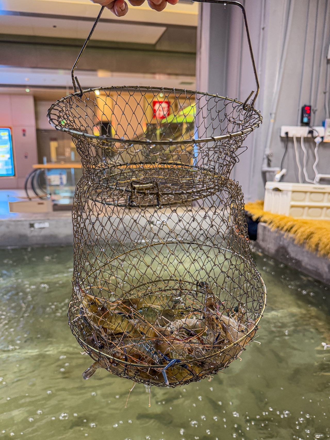 室内钓虾小技巧(室内钓虾小技巧和方法) 室内钓虾小技巧(室内钓虾小技巧和方法)