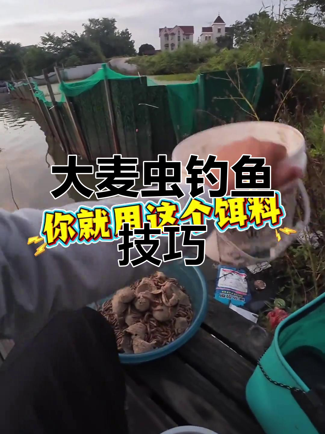 大麦饵料有哪些(大麦制作饵料视频)