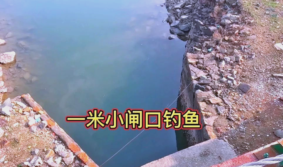 伏天野钓技巧(伏天钓什么鱼好钓) 伏天野钓技巧(伏天钓什么鱼好钓)