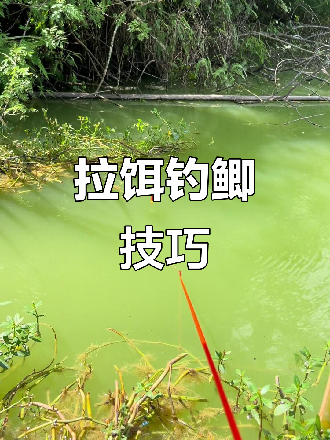 拉饵使用小技巧(拉饵怎么用才能钓到鱼) 拉饵使用小技巧(拉饵怎么用才能钓到鱼)