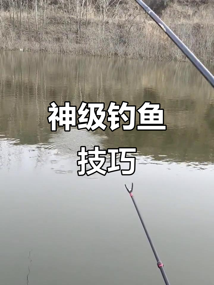 黑坑摘鱼技巧(黑坑摘鱼技巧图解) 黑坑摘鱼技巧(黑坑摘鱼技巧图解)
