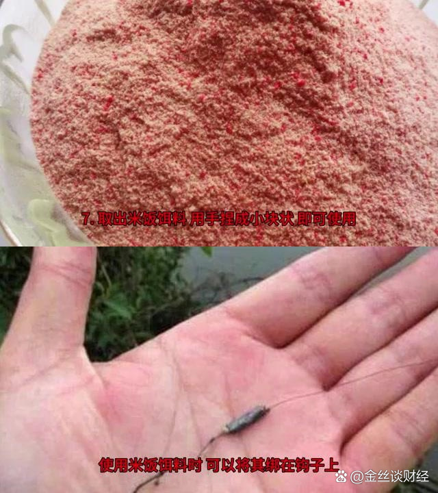 米饭加饵料钓鱼(用米饭钓鱼加什么小药) 米饭加饵料钓鱼(用米饭钓鱼加什么小药)