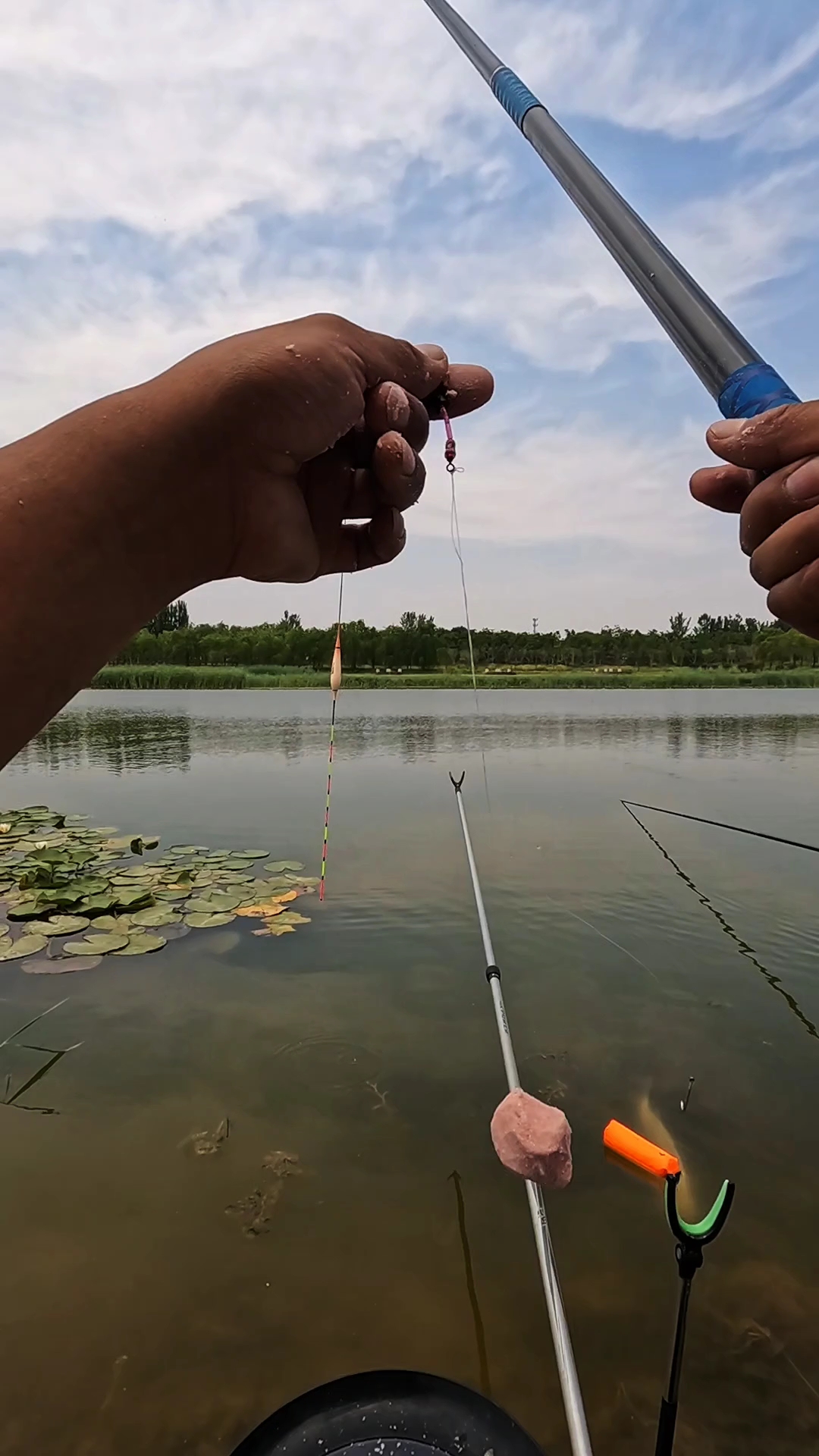 钓鲢鱼避免小杂鱼技巧(钓鲢鳙怎么避开小鲢鳙) 钓鲢鱼避免小杂鱼技巧(钓鲢鳙怎么避开小鲢鳙)