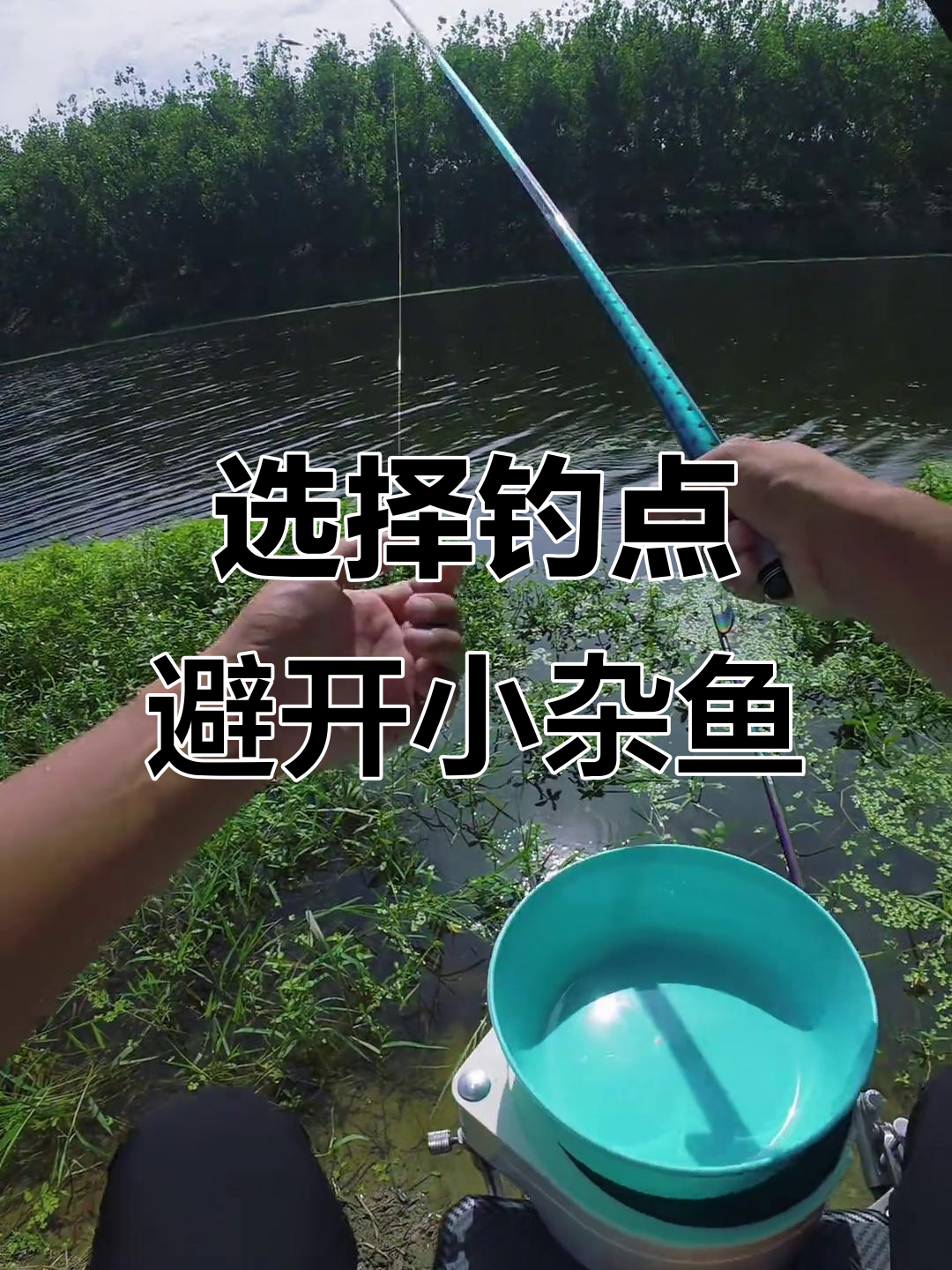 钓鲢鱼避免小杂鱼技巧(钓鲢鳙怎么避开小鲢鳙) 钓鲢鱼避免小杂鱼技巧(钓鲢鳙怎么避开小鲢鳙)