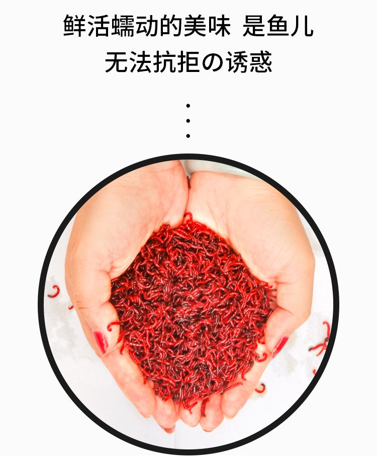 秋冬钓鱼红虫饵料配方(红虫秋天野钓鲫鱼怎么样) 秋冬钓鱼红虫饵料配方(红虫秋天野钓鲫鱼怎么样)