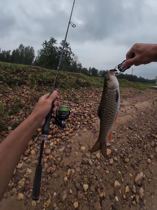 路亚红眼视频教程(路亚红眼鱼怎么钓) 路亚红眼视频教程(路亚红眼鱼怎么钓)