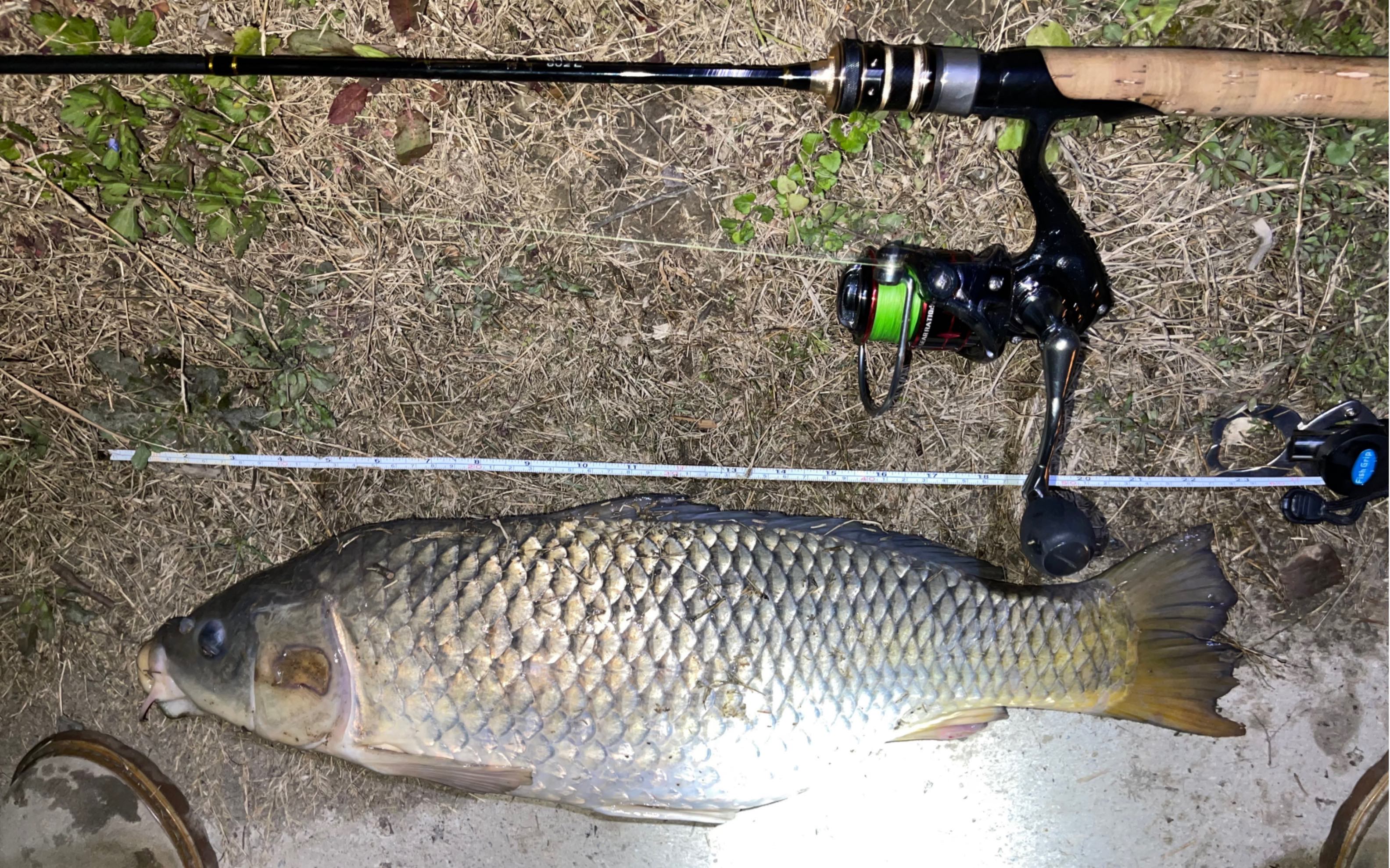 海钓路亚鱼(海钓路亚鱼竿什么牌子的好用) 海钓路亚鱼(海钓路亚鱼竿什么牌子的好用)